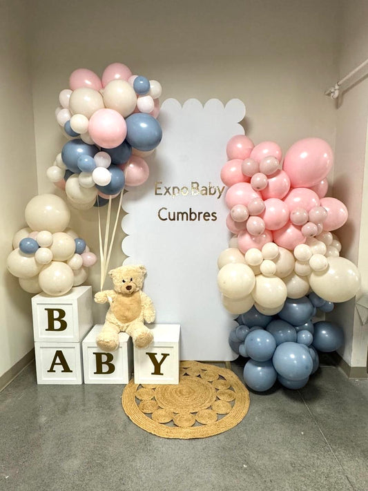 Set - Baby Bear Scallop